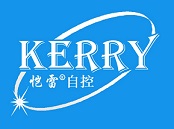 上海市恺雷自控系统有限公司